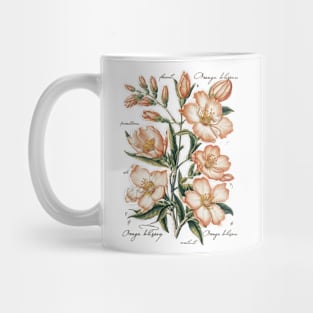 Vintage Orange Blossom Botanical Mug